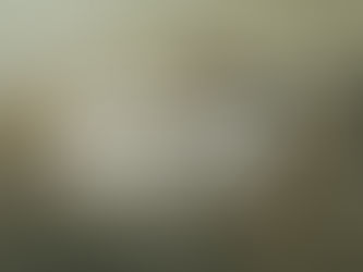 Palavra do dia: Não se surpreenda