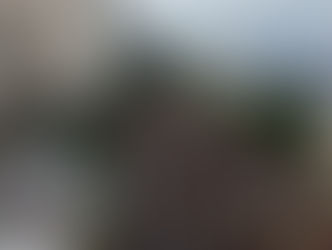 Ato pró-Lula em Niterói leva mais de 45 mil à Praia de Icaraí