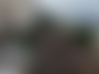 Ato pró-Lula em Niterói leva mais de 45 mil à Praia de Icaraí