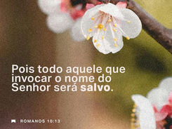 Palavra do dia: O Evangelho simples