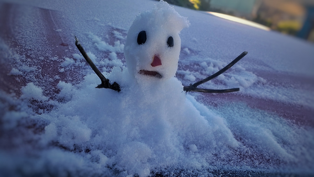 Boneco de gelo em São Joaquim, SC - Foto: Mycchel Hudson Legnaghi/São Joaquim Online/FotosPúblicas