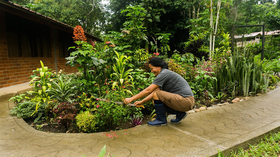 Yachana-Lodge-gardenroom.jpg
