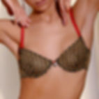 Roberta Demi Bra Closeup View