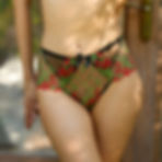 Cassandra Full Brief Closeup View