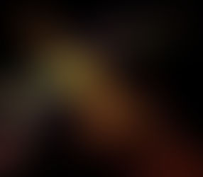 LA PARÁBOLA DE LA LIBÉLULA