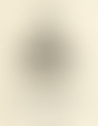 ¿DE QUÉ ESTÁ LLENO EL MORRO?