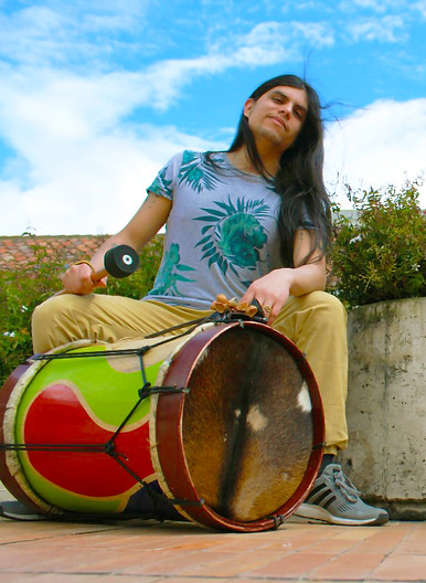 TIGRE MARIPOSA- Integrantes