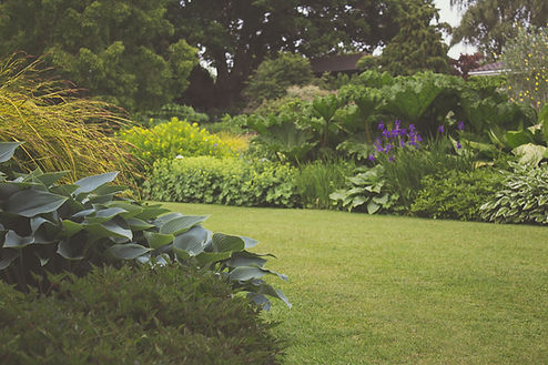 tuin-