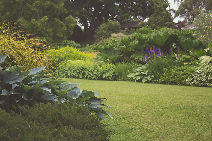 Lush Garden Scene