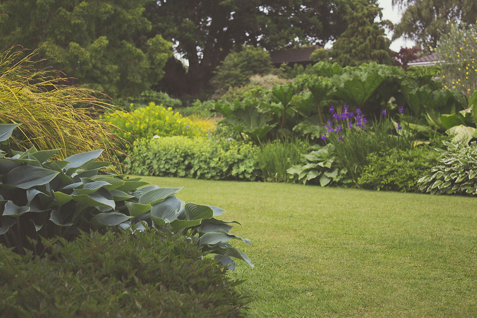 Lush Garden Scene