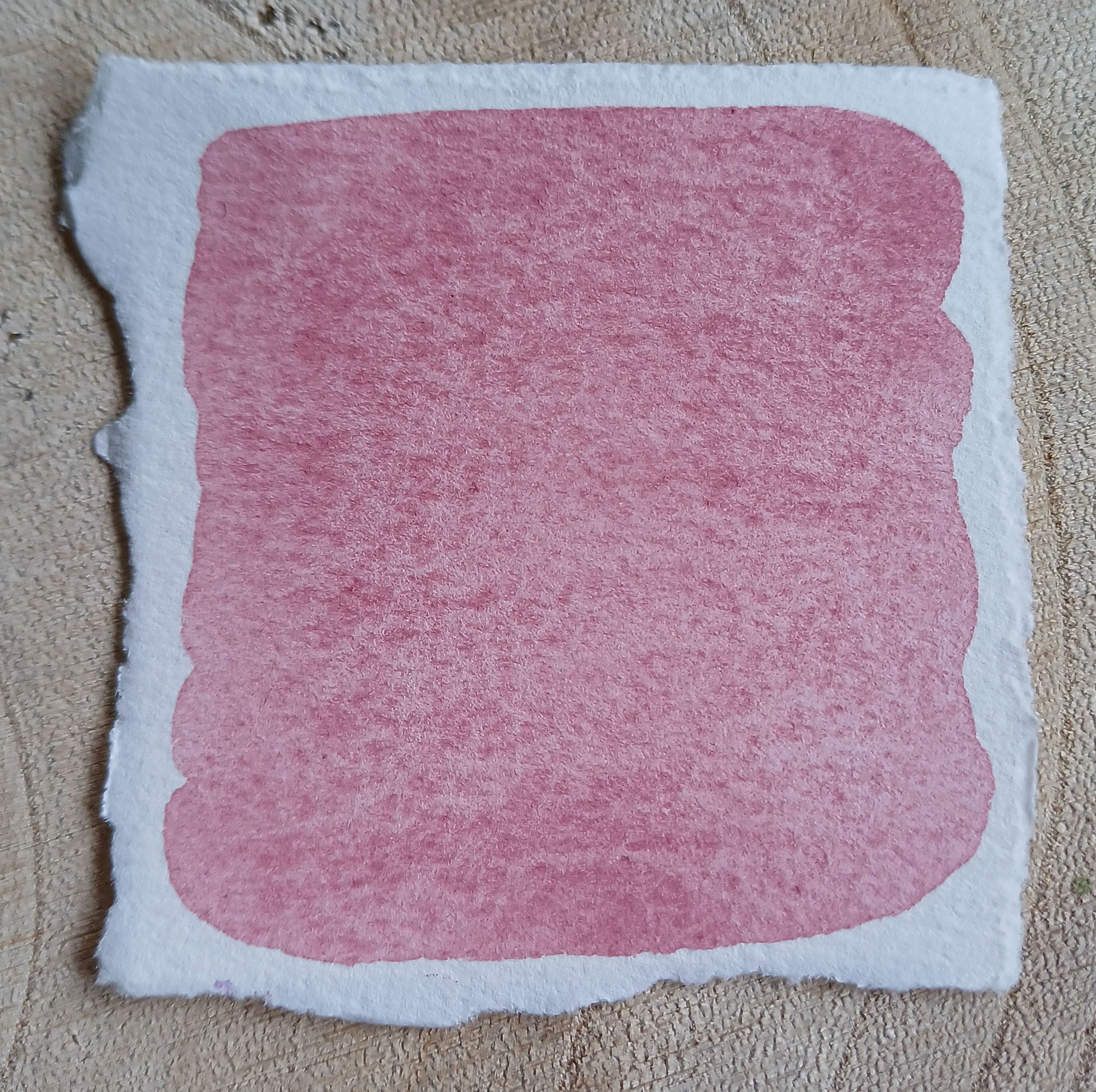 Nelke hell -Handgemachte Rosa Aquarellfarbe, PR223, Künstlerbedarf
