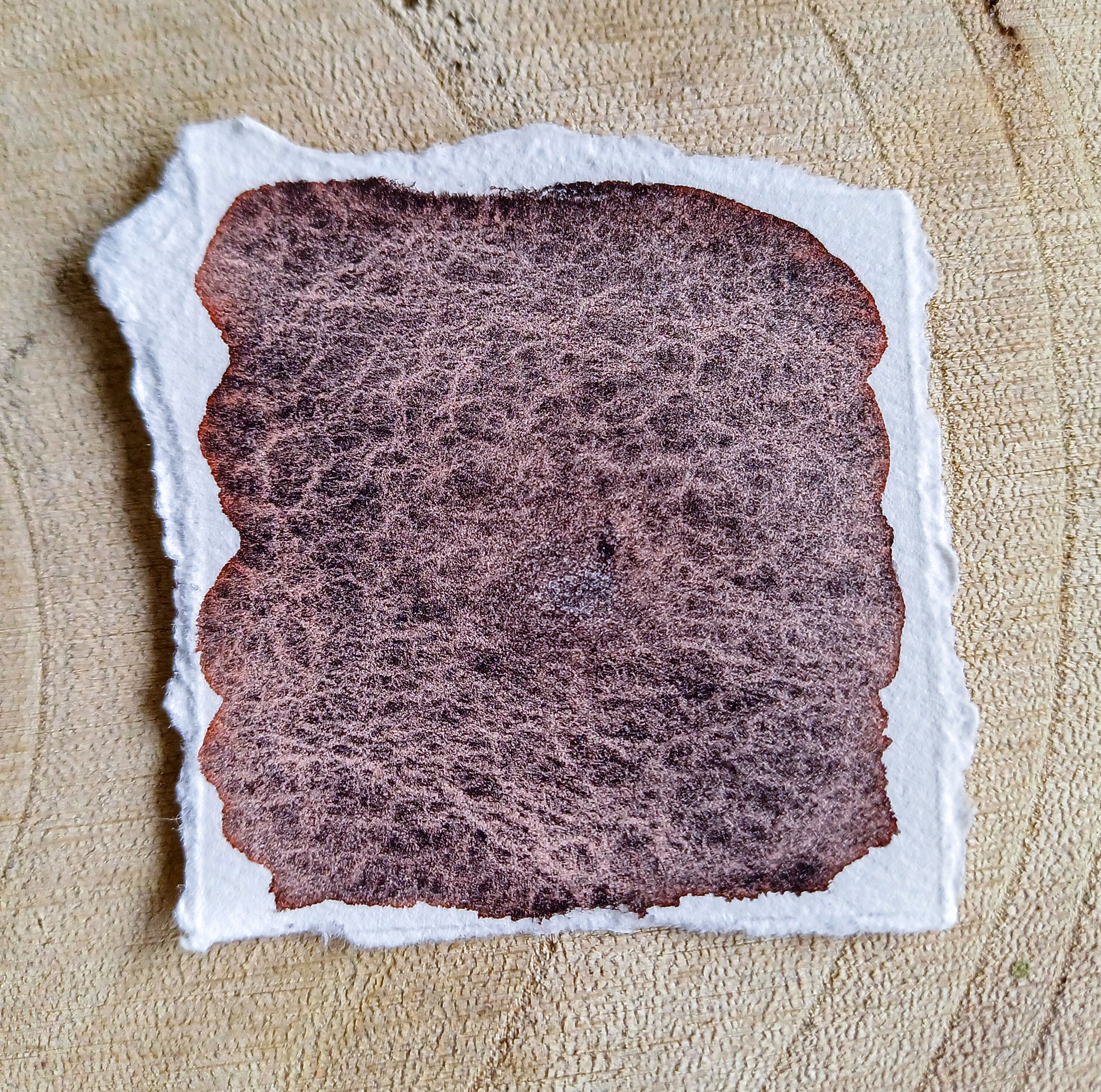 Red rust -Handgefertigte granulierende Aquarellfarbe, Professionell Watercolor