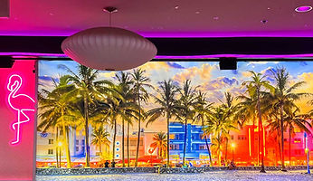 miamivibes.jpg
