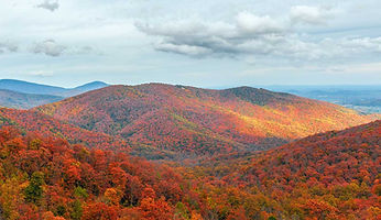 skylinedrive.jpg