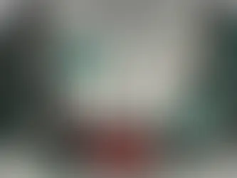 Kaiju N⁰8: Del Manga al Anime.