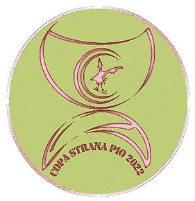 LOGO COPA2022 web.jpeg
