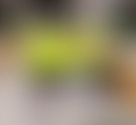 11 de julio 2021 - Tres copas y dos medallas en Pistola 50 m.