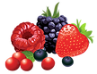 png-clipart-berry-fruit-blueberries-natural-foods-frutti-di-bosco.png