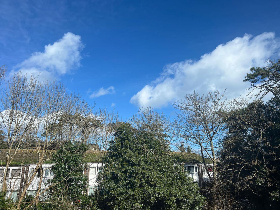 The view from Abigail's living room window - blue skies with white clouds, sparse tree-tops, rooftops of houses