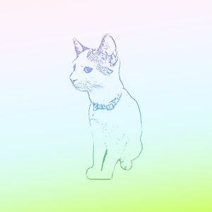 IMG_6746.jpeg