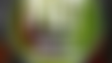 Worker's Food Program (PAT)