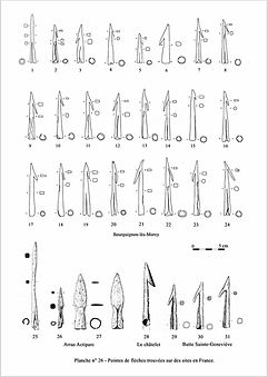 Capture d’écran_20-2-2026_171436_.jpeg