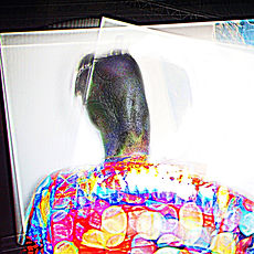 oeuvre sur plexiglass photo