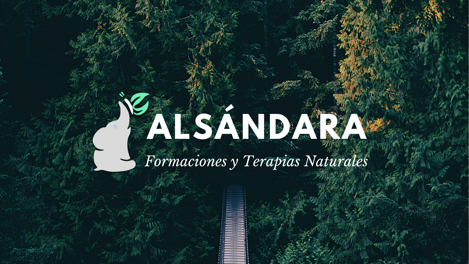 Alsándara - Vida & Veda, belleza y estética en Telde
