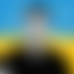 Mitch Harley, The Perspective Podcast 