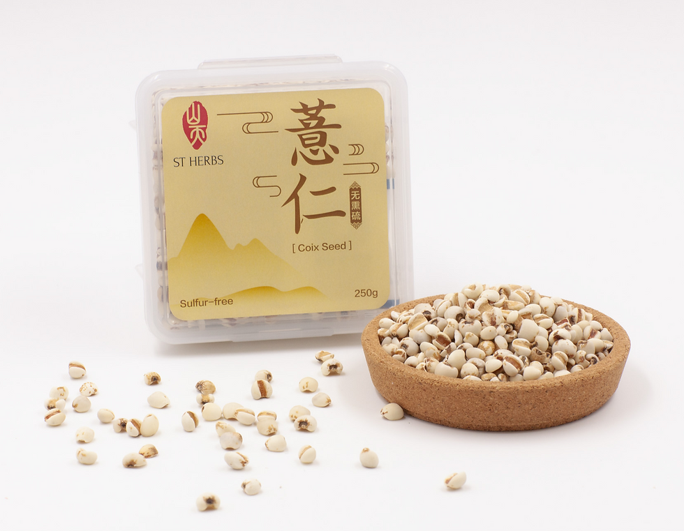 Coix Seed 薏苡仁