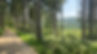 4AED178D-5774-4B4A-8935-B4916CE92427.jpeg