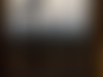 Samosas, Soy Milk & Sadness: Day Four