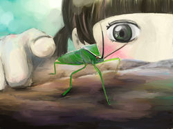 オオクモヘリカメ