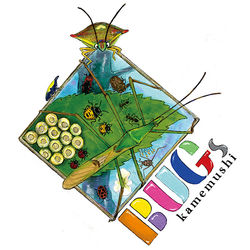 カメムシ集合！