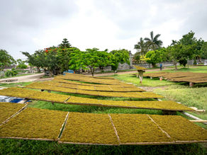 Unlocking the Secrets of Kei Body Butter: The Importance of Ethically Sourced Ingredients