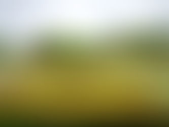 Unlocking the Secrets of Kei Body Butter: The Importance of Ethically Sourced Ingredients