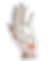 12.png