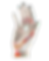 13.png