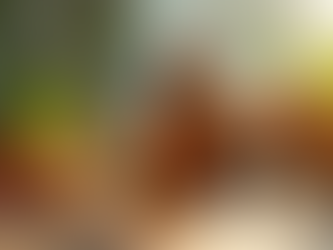 Oils Versus Body Butters A Comprehensive Guide to Nourishing Your Skin