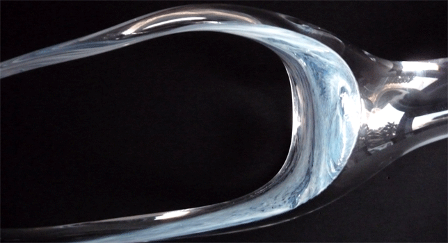 Furcula3f.gif