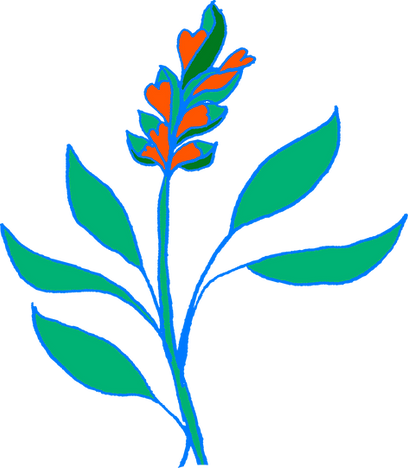 PLANT 2.png