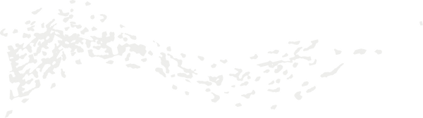 MINI CLOUD 1.png