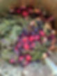 Old fruit and vegetables