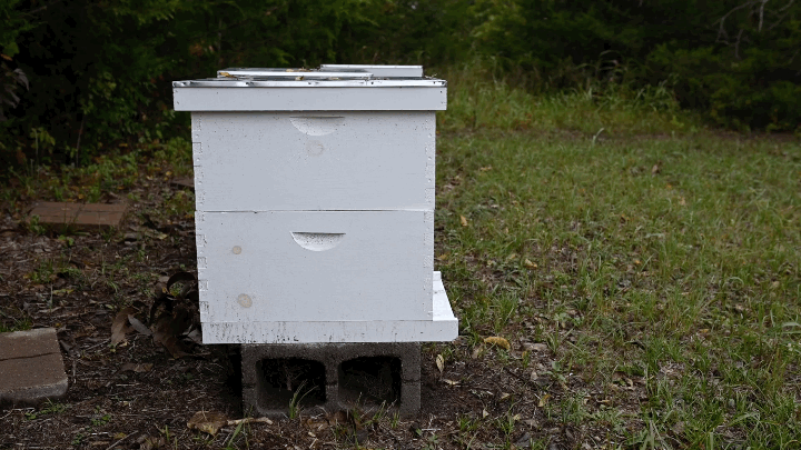 bees first aid small farmde cleanskincare