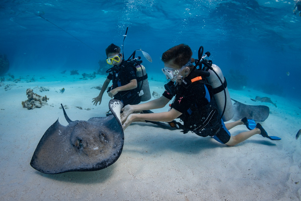 Divetech Dive Stingray City in Grand Cayman