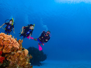Junior Open Water (Scuba for Kids Ages 10+) in Grand Cayman