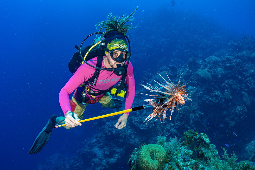 Lionfish