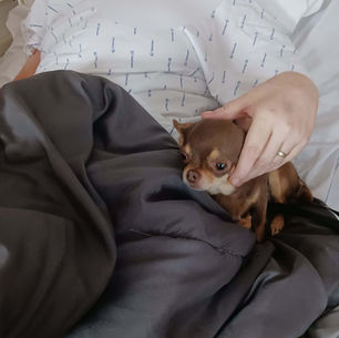 Visite en soins palliatifs à Bruay