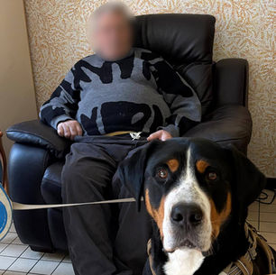 TAREK et RIVEN à L'EHPAD Amitié d'Automne à HERLIES