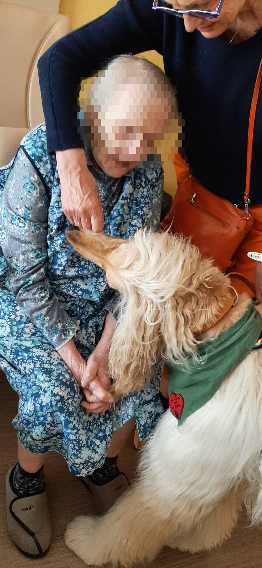  l'EHPAD POREBSKI en compagnie de Tarek,Uggy,Sidonie et Night.